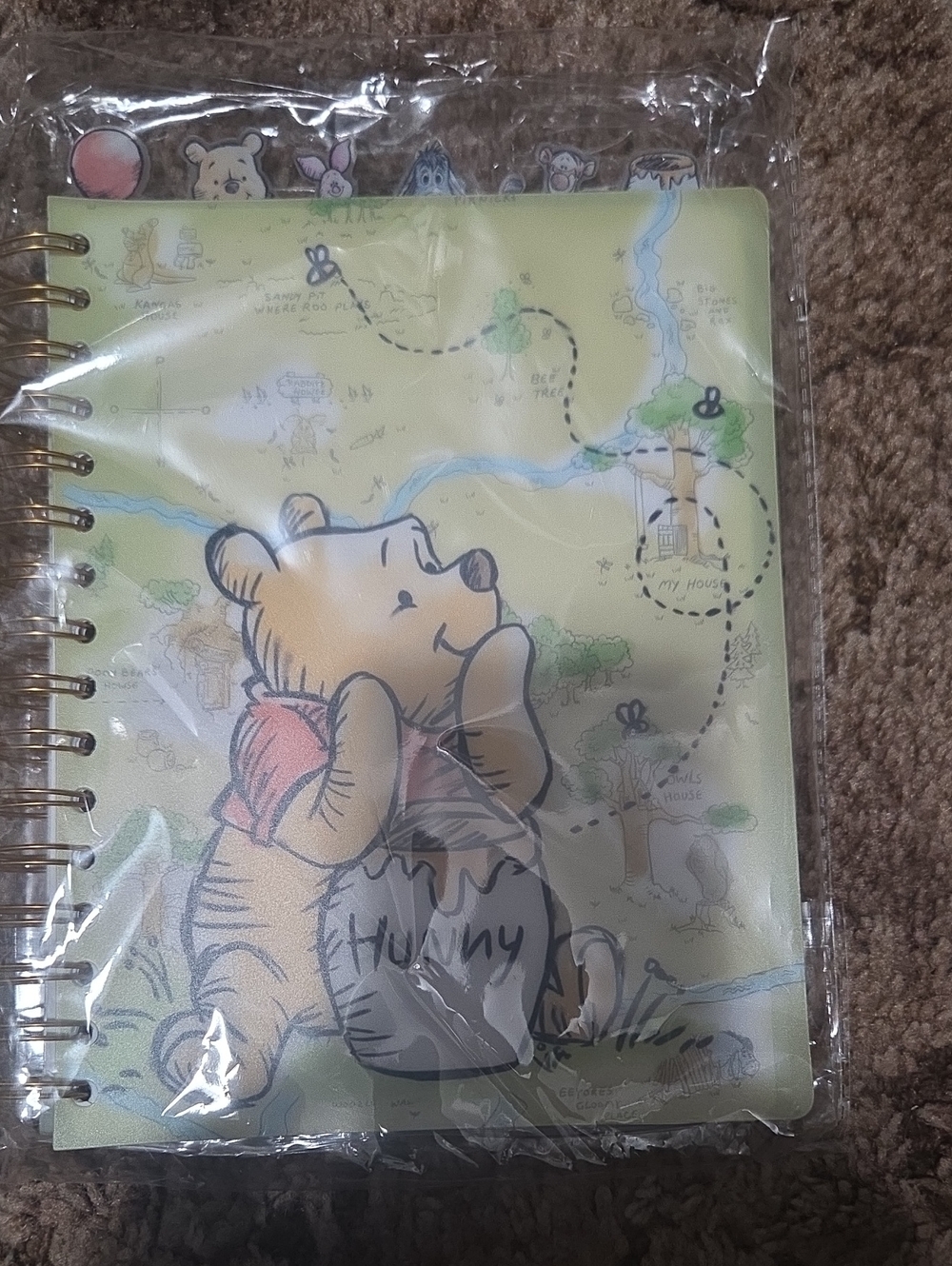 Winnie the Pooh Green Spiral Notebook - Home Office Journal